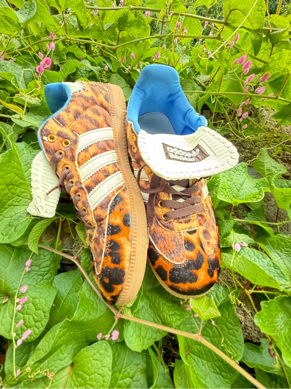 ADIDAS x Wales Bonner Samba Leopard Print Pony hair sneakers F/W 2023 M8/W9.5 - Picture 2 of 16